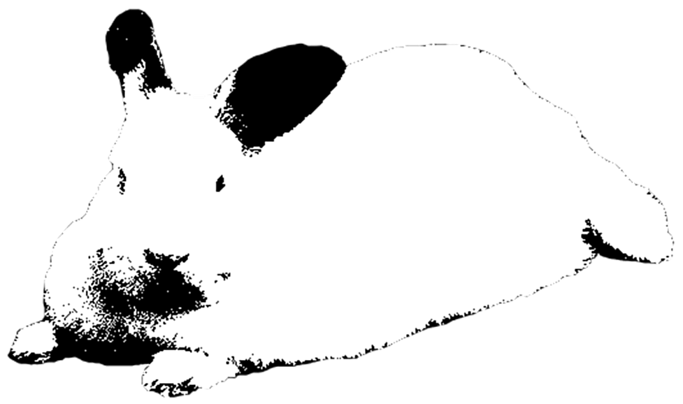 Entropy Online Luna