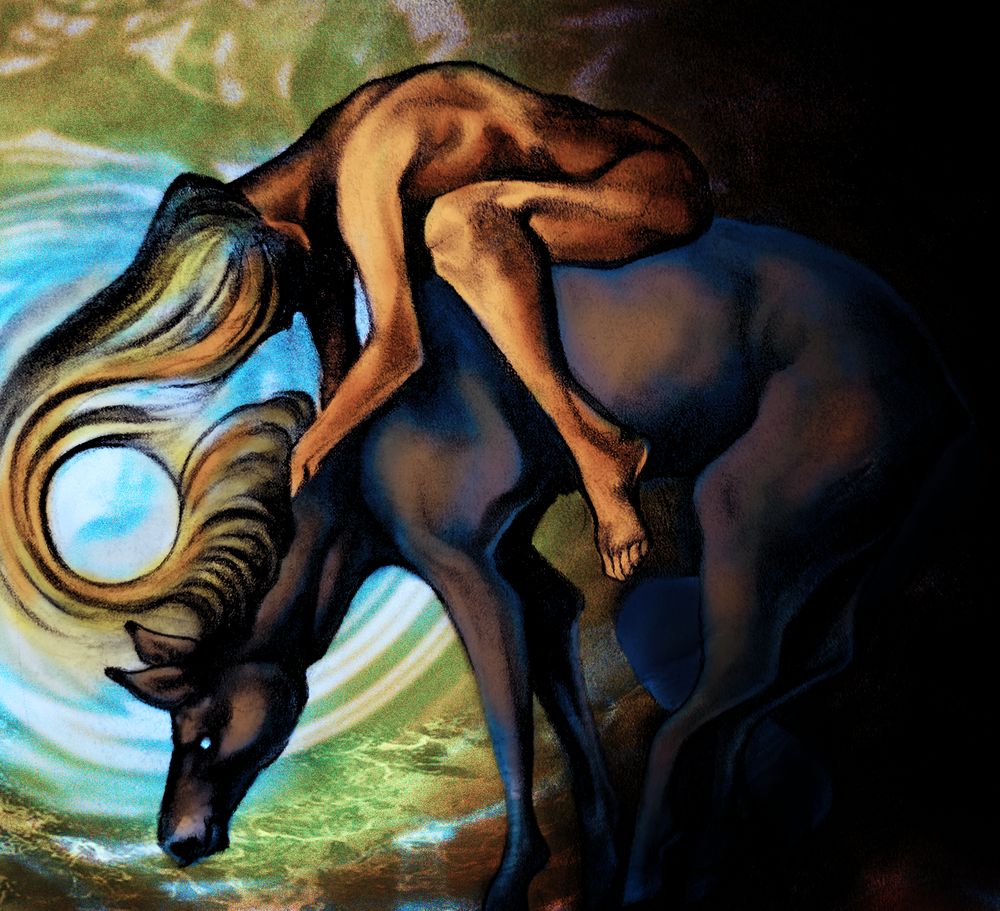 Horse With No Name, 2022